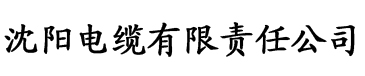 红尘影视电缆厂logo